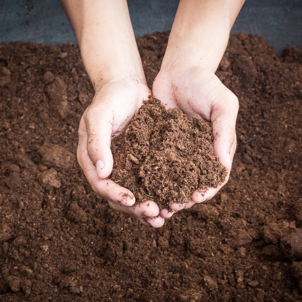 The Real Soil Company tweet media