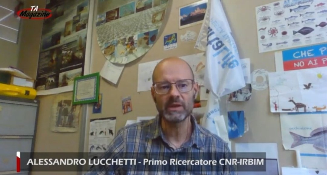 Life Delfi (@delfi_life) on Twitter photo 🔵 Come l'intelligenza artificiale #AI può tutelare i #delfini 🐬🐬🐬. Lucchetti di <a href="/CnrIrbim/">IRBIM CNR</a> a <a href="/teleambiente/">TeleAmbiente</a> 👇
youtu.be/wllBYgLn6Jc?si…
<a href="/LIFEprogramme/">LIFE Programme</a>
#LifeDelfi 🔵 Come l'intelligenza artificiale #AI può tutelare i #delfini 🐬🐬🐬. Lucchetti di <a href="/CnrIrbim/">IRBIM CNR</a> a <a href="/teleambiente/">TeleAmbiente</a> 👇
youtu.be/wllBYgLn6Jc?si…
<a href="/LIFEprogramme/">LIFE Programme</a>
#LifeDelfi