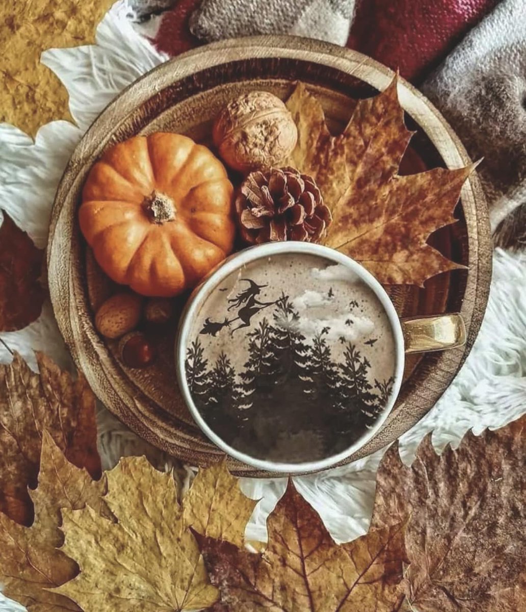 Susannah J. Bell 🌺 tweet media