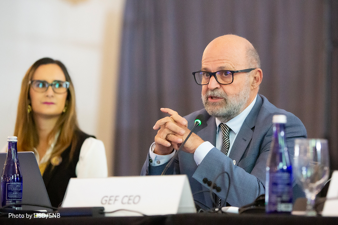 #TeamClimateBMZ (@bmz_climate) on Twitter photo Exciting news! Carlos Manuel Rodríguez <a href="/cmrodrigueze/">Carlos Manuel Rodriguez</a> has been reelected as the CEO of <a href="/theGEF/">Global Environment Facility (GEF)</a>! 🎉 <a href="/BMZ_Bund/">Bundesentwicklungsministerium</a> is looking forward to continuing our successful, trustful cooperation and achieve great environmental milestones with the GEF under his guidance.🌿 #GEFcouncil67 Exciting news! Carlos Manuel Rodríguez <a href="/cmrodrigueze/">Carlos Manuel Rodriguez</a> has been reelected as the CEO of <a href="/theGEF/">Global Environment Facility (GEF)</a>! 🎉 <a href="/BMZ_Bund/">Bundesentwicklungsministerium</a> is looking forward to continuing our successful, trustful cooperation and achieve great environmental milestones with the GEF under his guidance.🌿 #GEFcouncil67