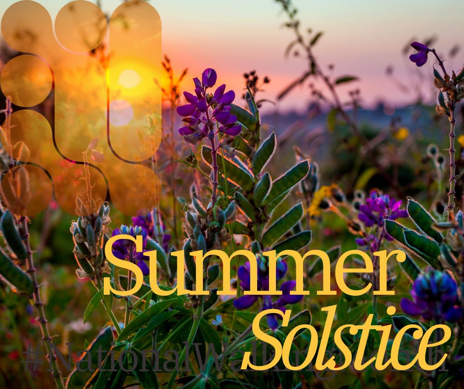 GetOutdoorsLan's tweet photo. Wishing everyone the joys of summer today! Take some time to connect with nature, in a park, in your garden or even looking out of your window! #natureconnection https://t.co/BkfXs2lgzx