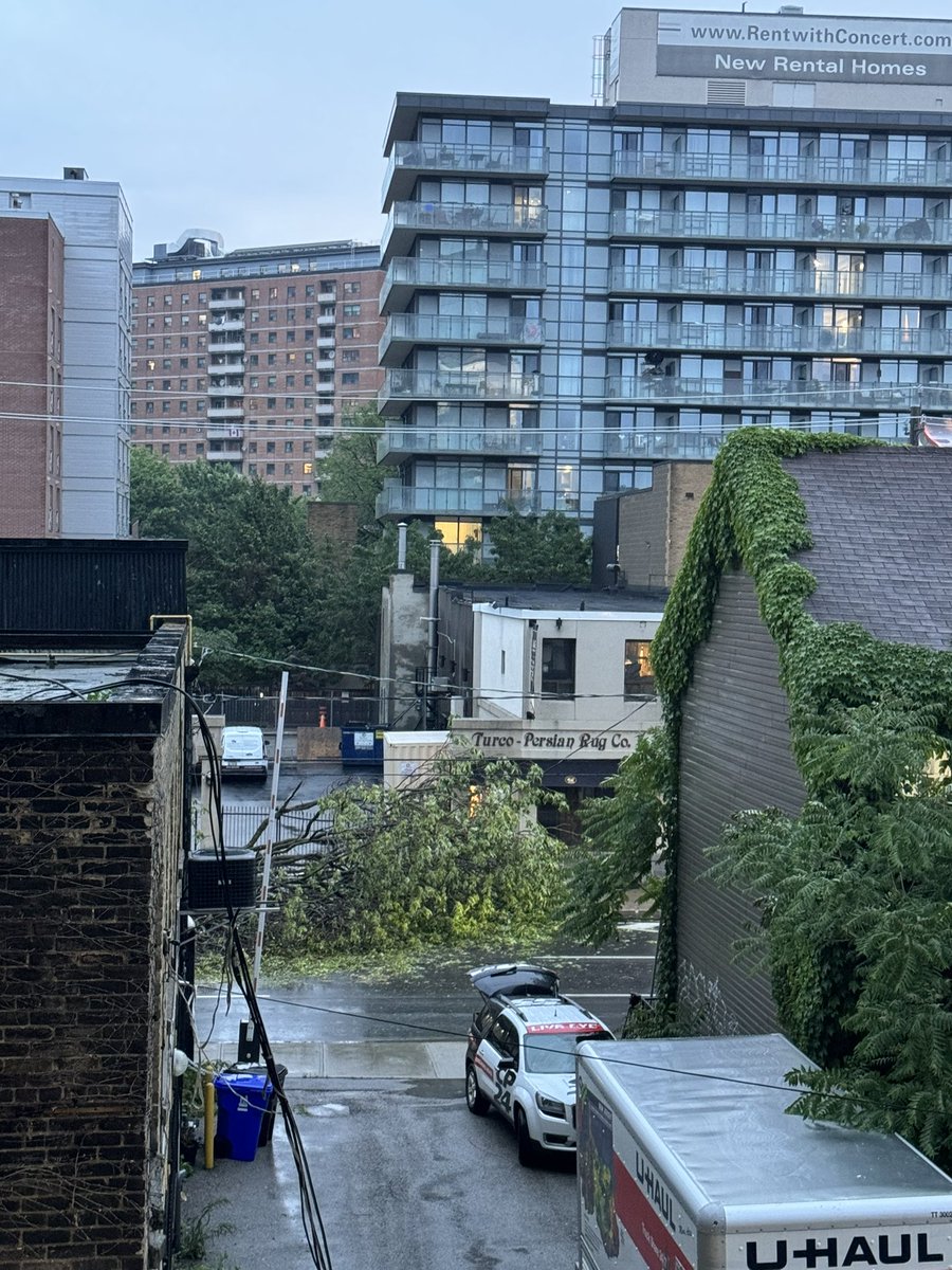 Sarah D (@missjacobs) on Twitter photo What a storm last night - tree down on Richmond! 😱😱 <a href="/breakfasttv/">Breakfast Television</a> <a href="/FrankFerragine/">Frankie Flowers</a> What a storm last night - tree down on Richmond! 😱😱 <a href="/breakfasttv/">Breakfast Television</a> <a href="/FrankFerragine/">Frankie Flowers</a>