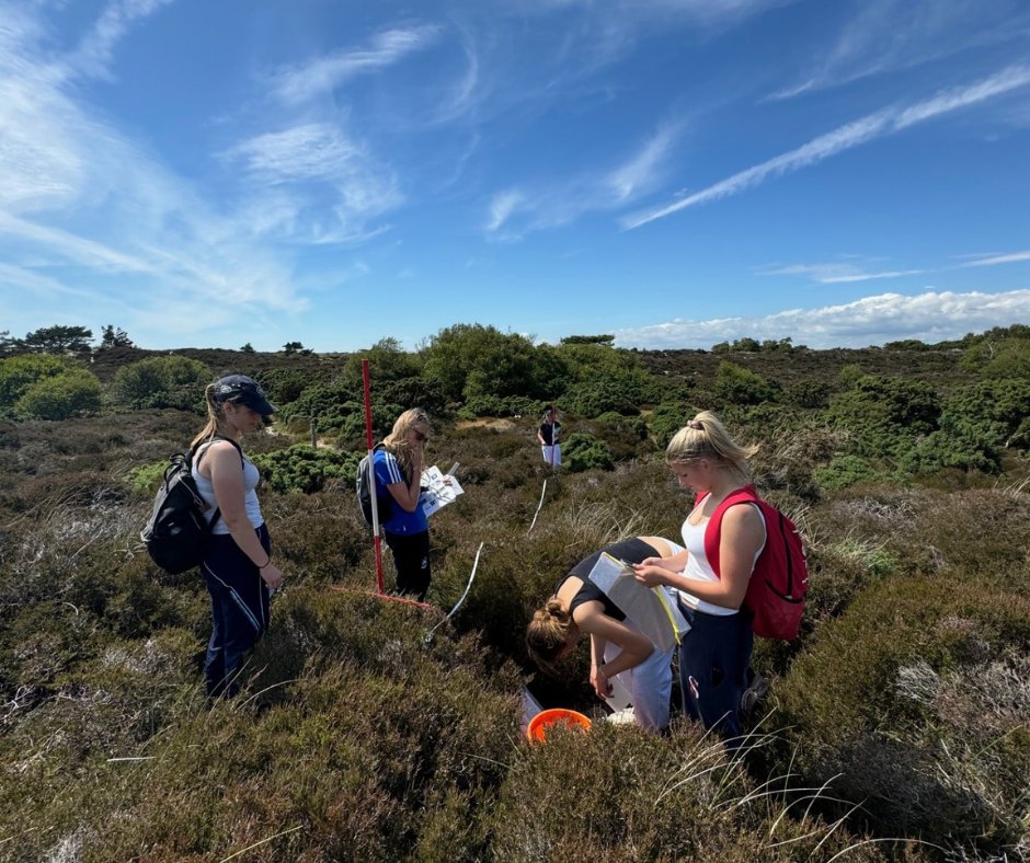 The Lower Sixth's Geography trip to Dorset was blessed with good weather for investigating the impacts of coastal management at Highcliff, studying the ecosystem of the fragile sand dune environment at Studland Bay and enjoying a boat ride from Lymington to explore the coastline.