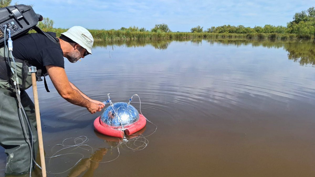 RESTORE4Cs's tweet photo. The 4️⃣th &amp; final #RESTORE4Cs #samplingcampaign💧, 
which corresponds to the #summer season ☀, started this week at the #Camargue #CasePilot🐴🍃

📍 Next stop ➡ ➡ ➡ #ValencianWetlands

▶ https://t.co/Hn0lzxtBdz

#R4Cs #HorizonEU #Wetlands #CoastalWetlands #RESTORE4CsFieldwork https://t.co/aNnjnQdRBK