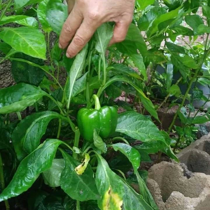FundaproalO's tweet photo. ¡Su dedicación y esfuerzo son fundamentales para construir una sociedad más justa y solidaria! 🫶🏡
@nicolasmaduro
@MinAlimenVen
@lealtelleria
@MelendezPedro86
#GraciasMadresElaboradoras #Fundaproal #SocialismoParaSiempre 🌱🌹🌟 https://t.co/7sWNfpbPQh