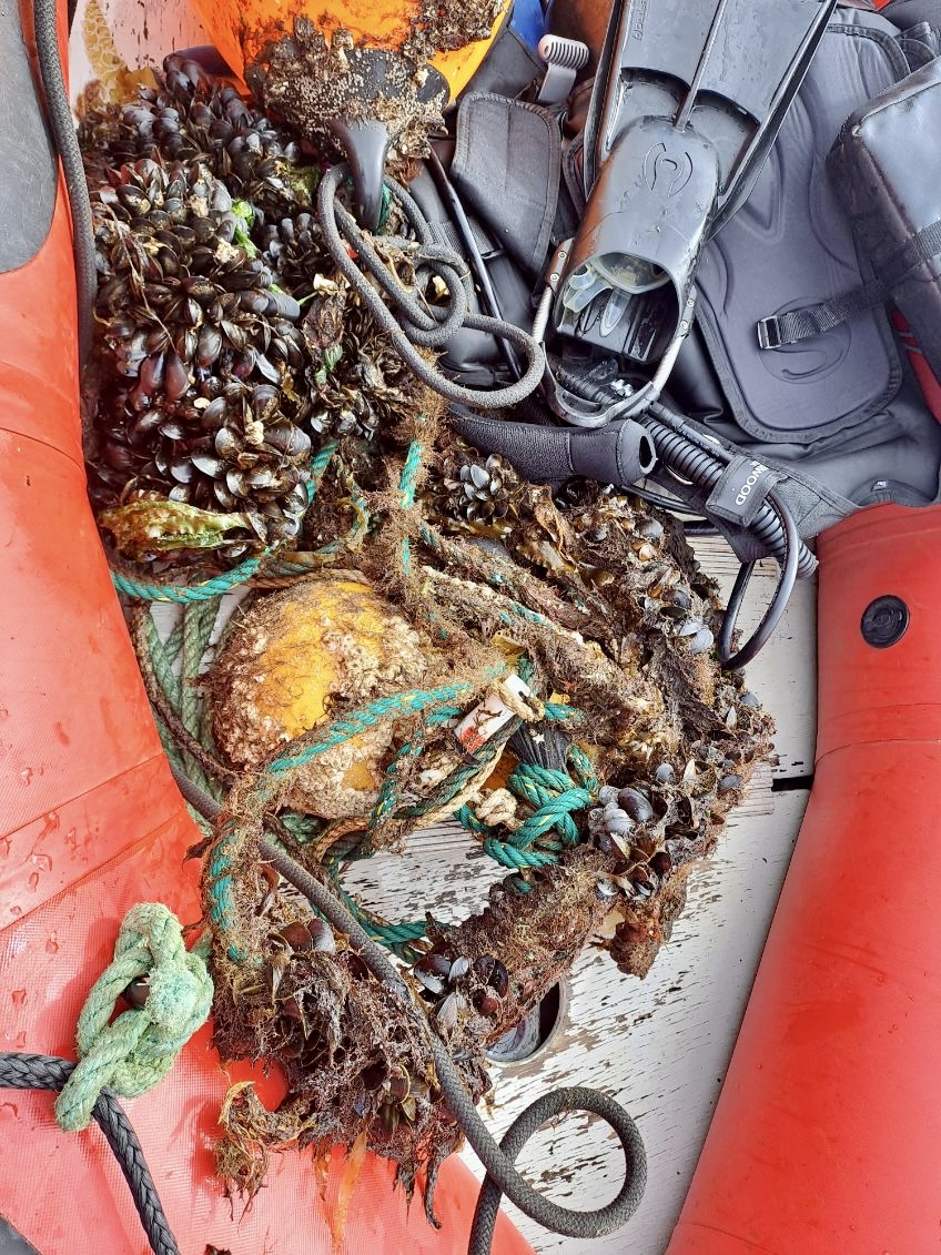 IceFishResearch's tweet image. She is now ready to offload, filter, and analyse data from the receivers to answer key questions on movement and behaviour of juvenile Atlantic cod and potential migration tendencies 🐟

#FishIceland #AtlanticCod