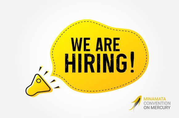 📢We are hiring! 

The #MinamataConvention Secretariat seeks a Senior Coordination Officer (P5) to manage and coordinate the development and implementation of the Programme of Work in assigned areas.

🗓️Closing date: 27/06/2024
➡️bit.ly/MCJOBP5

Help us spread the word!