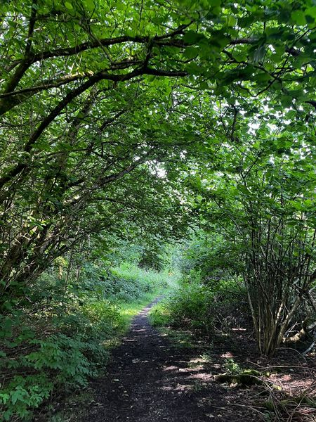 Year 9 have begun measuring human impact on our local woodlands for their fieldwork investigation.
<a href="/LETEduTrust/">LET Education Trust</a>