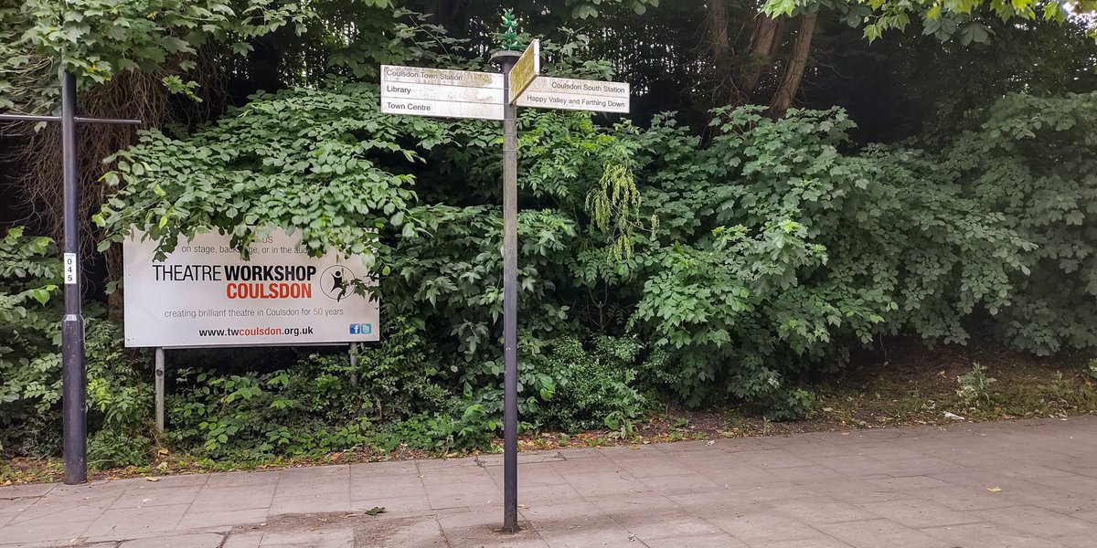 HeritageClsdn's tweet photo. Celebrating #GreaterYellowRattle (Rhinanthus angustifolius)  on a decorative post in #Coulsdon on #FingerpostFriday - in summer, you can see this nationally rare plant all over #FarthingDowns and #HappyValley. https://t.co/6Q7n218ASS
