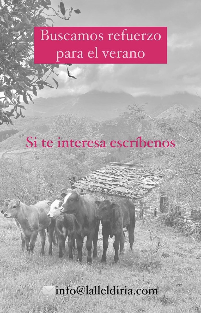 Queremos ampliar el equipo, en principio sería de julio a agosto, pero con idea de sacar adelante cosucas que nos ayuden a generar un trabajo estable más. Si conocéis alguien interesad@, que nos escriba.