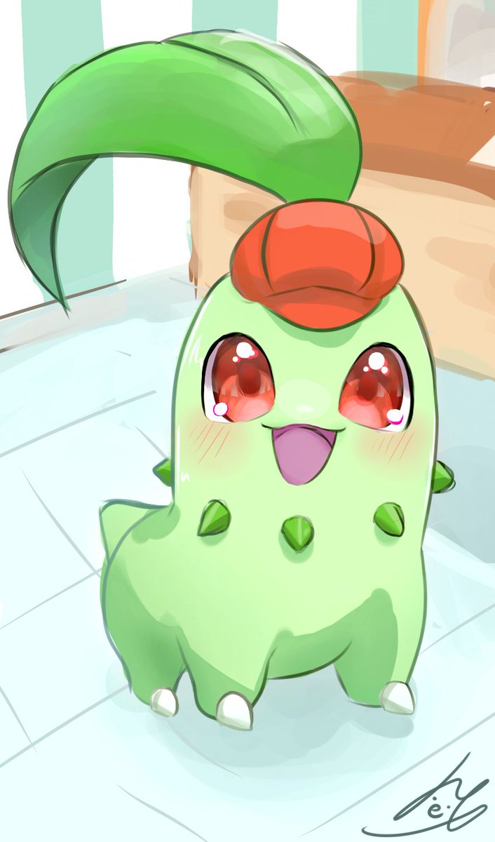 ちこりーた チコリータ
