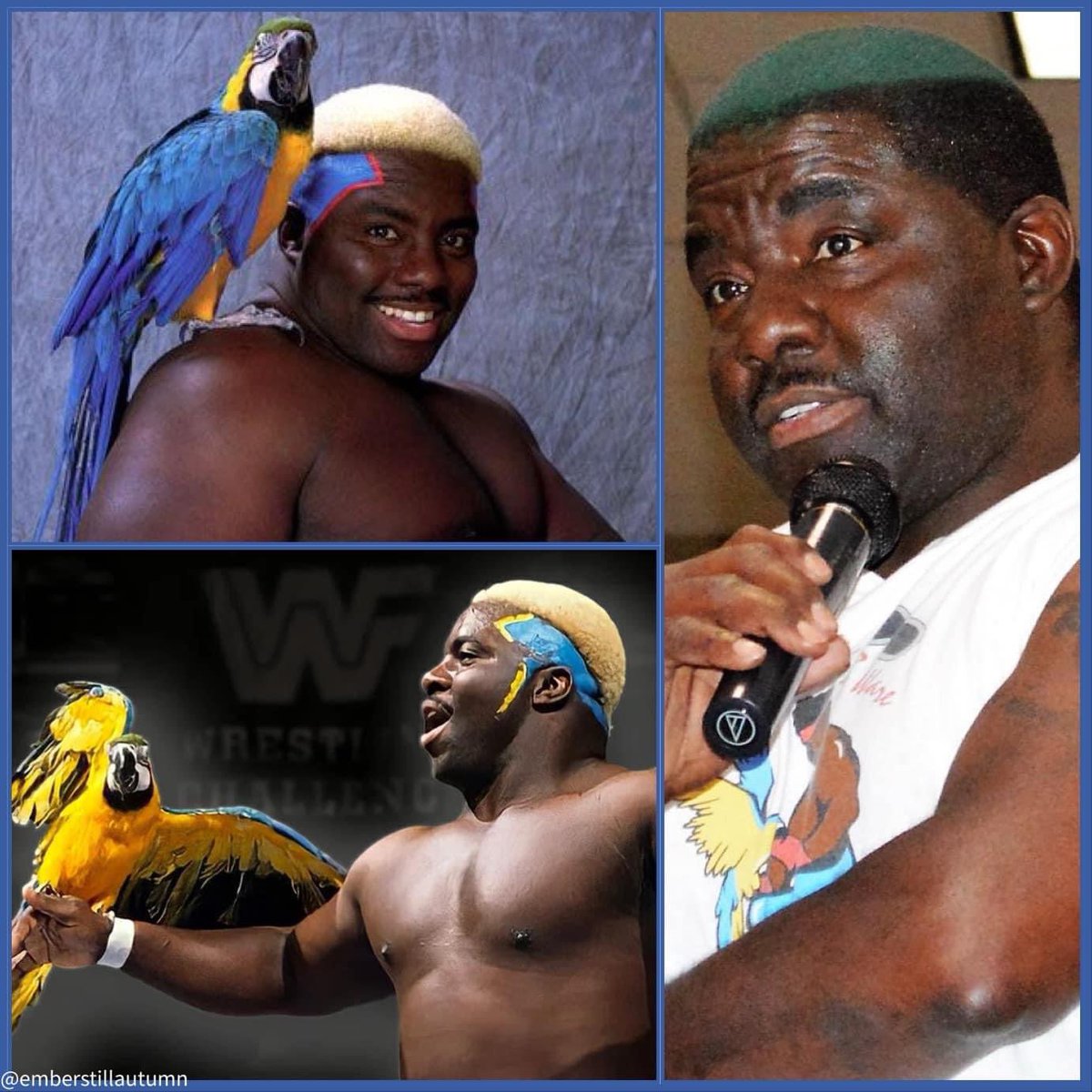 OfficialSQC's tweet image. WWE Hall of Fame inductee Koko B. Ware was born on this day back in 1958.
Happy Birthday Birdman! 🎈
06.20.1958
#kokobware #wwe #wwehof #follow #wwehalloffame #birdman