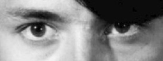 Bufo Calvin tweet media