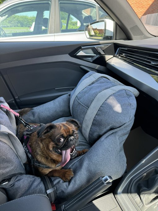 Been out with mum &amp; she didn&rsquo;t die xxxx https://t.co/CWWfI7hD1S<a href="/tag/mensmentalhealth"class="tags"><span>#mensmentalhealth</span></a>