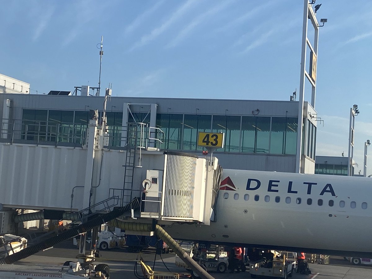 Lotus Winnie Lee tweet media