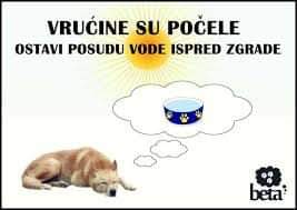 PikaRoziChu's tweet photo. #caosvima https://t.co/LJTpZQmWd9