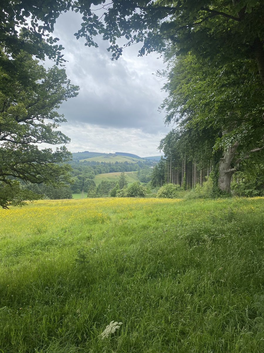 Derek Hannon tweet media