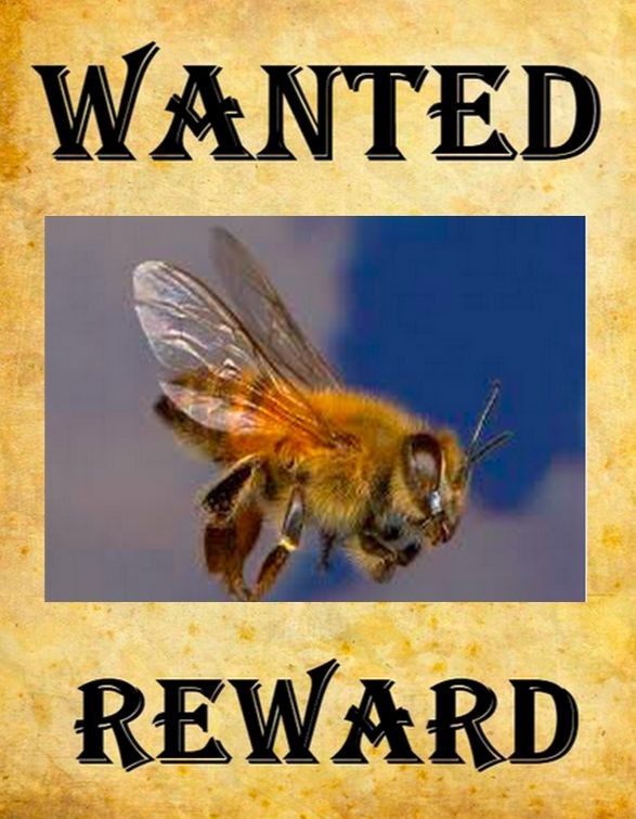 Watch what you say please