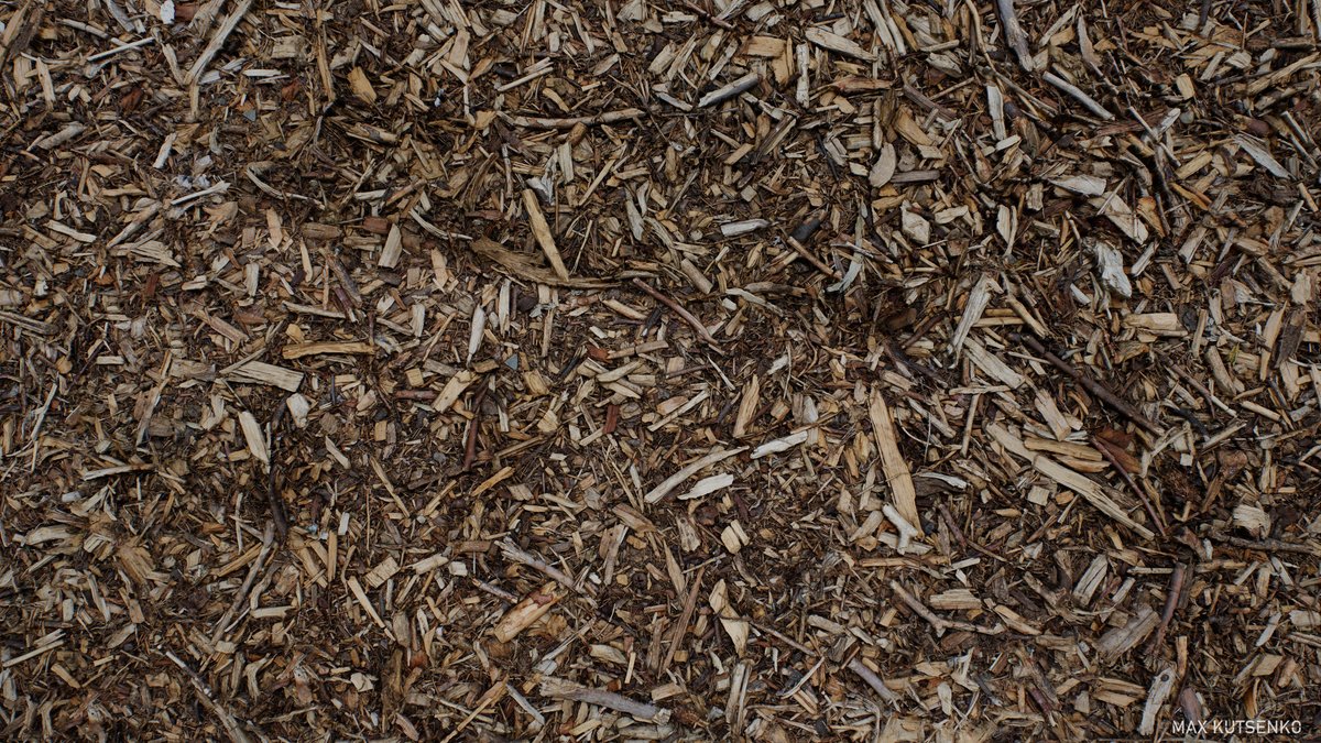 Twigs Debris Scan  via @artstationhq artstation.com/artwork/OG8J5e 

Rendered in <a href="/marmosetco/">Marmoset</a> images aligned in <a href="/RealityCapture_/">RealityScan</a>  final material assembly in SD

#photogrammetry #gamedev #substancedesigner #pbr #scan