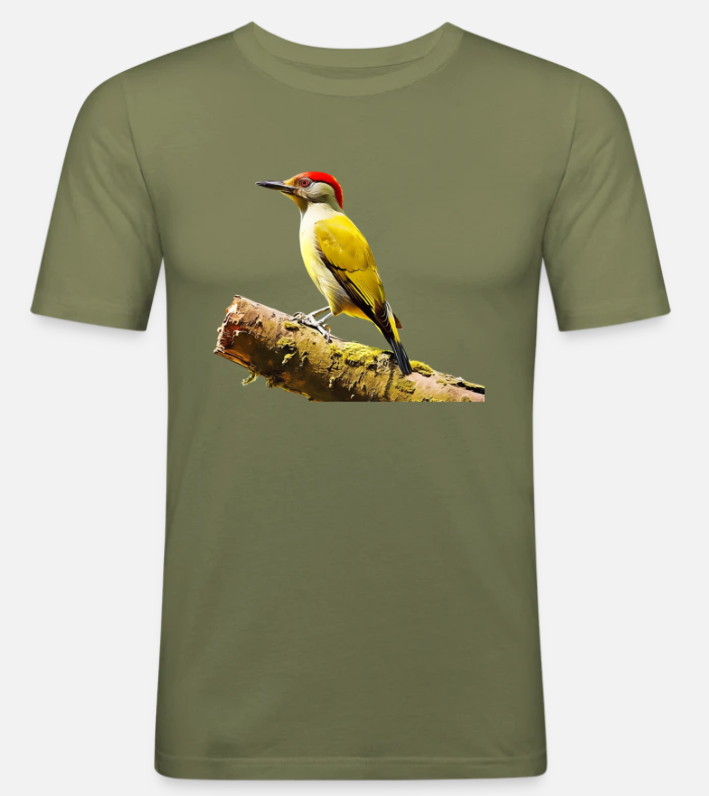 DroomgansPics's tweet photo. Check out our latest t-shirt design featuring a vibrant green woodpecker! Perfect for nature lovers and birdwatchers. Add a touch of nature to your wardrobe! 
https://t.co/KIzZoROPqr #NatureInspired #GreenWoodpecker #WildlifeFashion #EcoFriendlyFashion #UniqueDesign #birds https://t.co/fHdGGKixDa