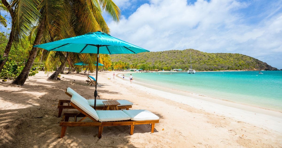 Profitez de la tranquillité de l'été pour réfléchir à votre présentation par affiche ou à votre vidéo de la relève. 
Date limite pour participer : 13 septembre.

🖼 inspq.qc.ca/jasp/presentat…
🎬 inspq.qc.ca/jasp/releve

#jasp2024 #dacquisetdaudace #lerendezvousdesantépublique