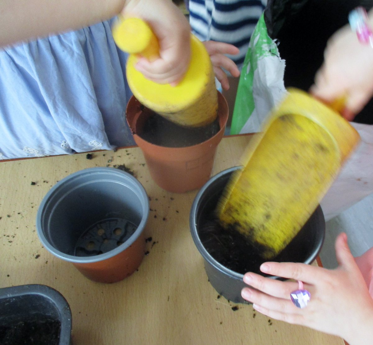 We've been planting.
"The bean it sprout. It gonna be flower."
"We need water because you need to make it grow bigger like a beanstalk."
"The rain makes it grow taller."
"I Plant at home with mummy."
"Seed go on the floor then the sun come out and make it go down."
"Make plant."