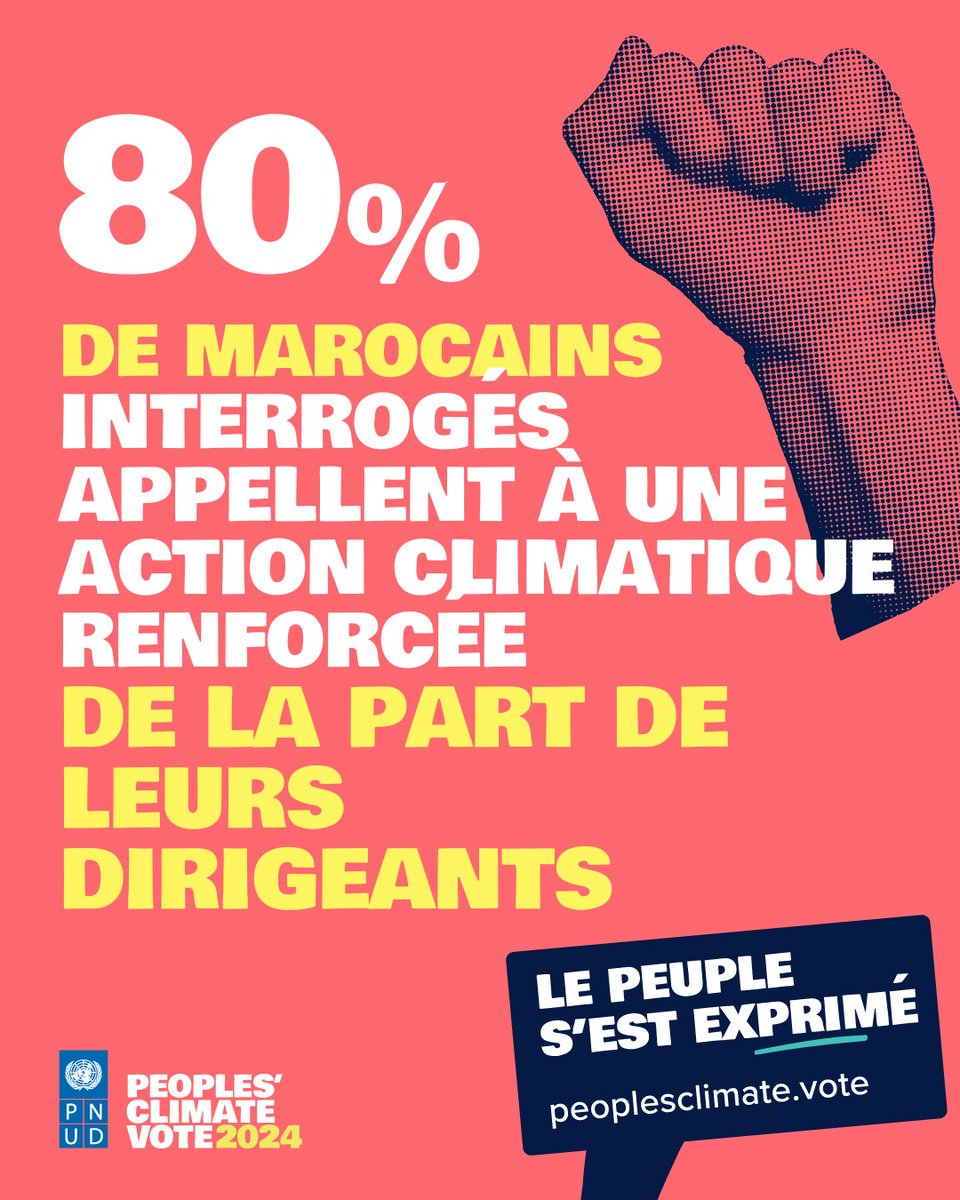 🌍🌱Selon le #PeoplesClimateVote 2024, 80% de Marocain.e.s interrogé.e.s souhaitent des mesures plus ambitieuses pour lutter contre le changement climatique.
Découvrez les résultats du sondage au 🇲🇦 : 
👉go.undp.org/ZCT
#ClimateAction #Maroc #PeoplesClimateVote