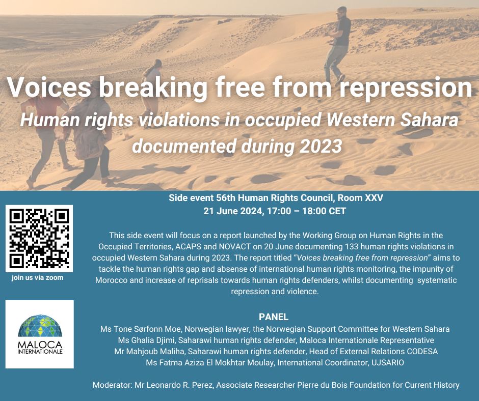 MalocaInternationale tweet media