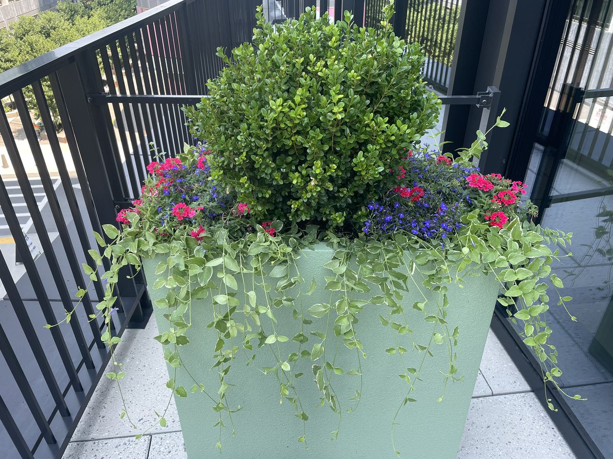 plantwerks's tweet photo. Happy Summer! https://t.co/kGeIbLH68d