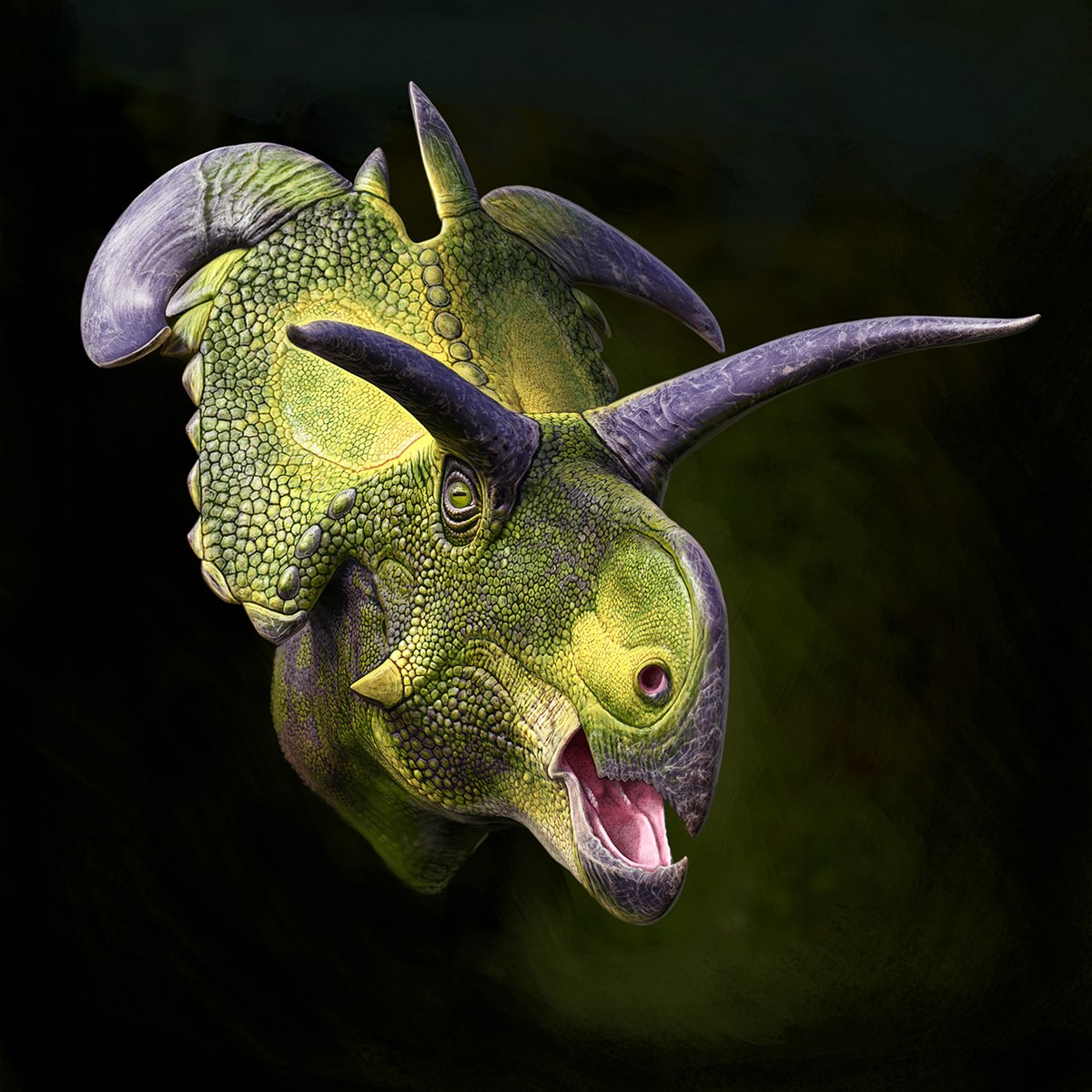 Meet Lokiceratops rangiformis, the newly named horned dinosaur from Laramidia! And, congratulations to all who involved! Well, here are my contributions to acompain this fantastic find.