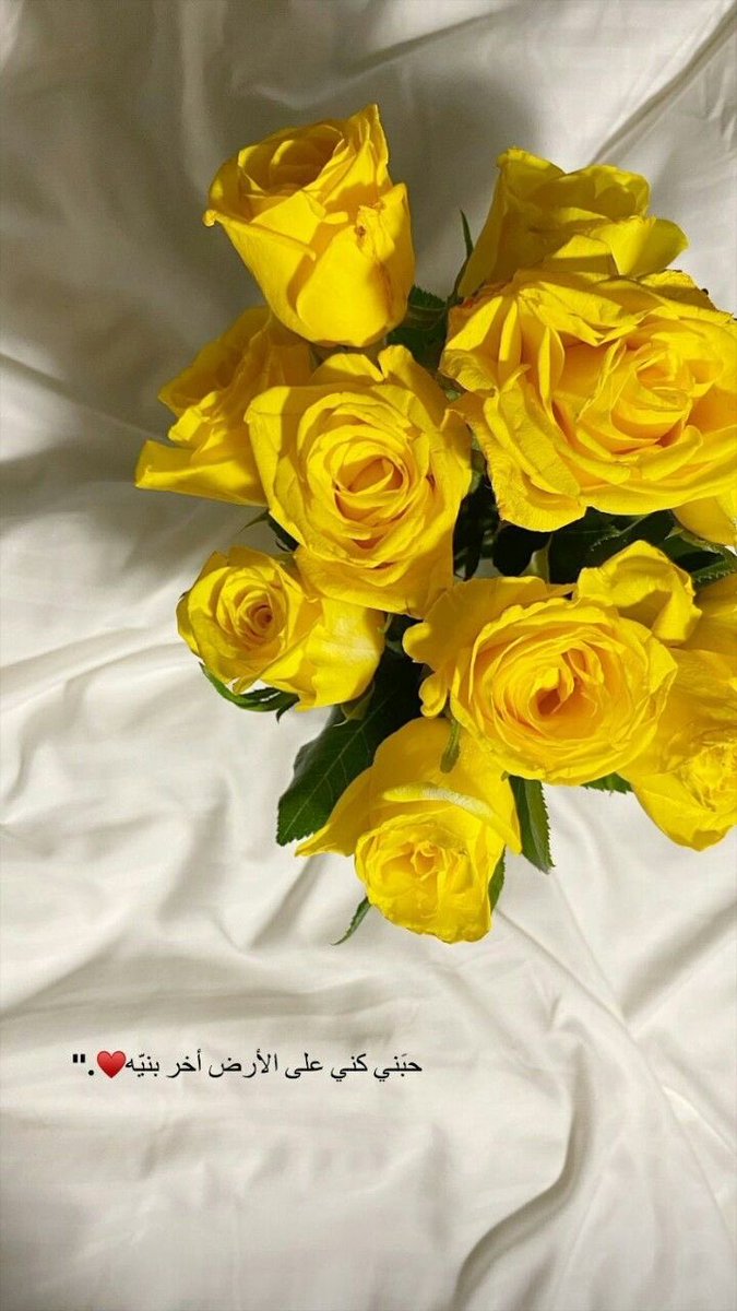 مَدري بآكِر هـَ المَدينة
َ وُشّ تكوَن ..! النَهار .. 
وَ الورد الاصفر .. وَ الغصون...
#مساء__الخيرِ