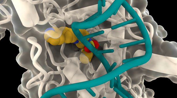 John Innes Centre (@johninnescentre) on Twitter photo NEWS - Old drugs new tricks – Novel approach shows “enormous potential” for rapid antibiotic discovery
Innovative project to re-purpose existing drugs for their potential as antibiotics has uncovered a promising candidate
okt.to/ZsjxBz
<a href="/NorwichResearch/">Norwich Research Park</a> <a href="/dghilarov/">Dmitry Ghilarov</a> NEWS - Old drugs new tricks – Novel approach shows “enormous potential” for rapid antibiotic discovery
Innovative project to re-purpose existing drugs for their potential as antibiotics has uncovered a promising candidate
okt.to/ZsjxBz
<a href="/NorwichResearch/">Norwich Research Park</a> <a href="/dghilarov/">Dmitry Ghilarov</a>