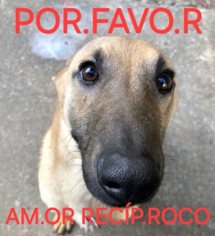 tortadefrango67's tweet photo. https://t.co/4XOlL2VGal