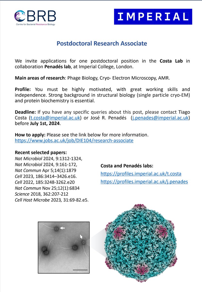 Tiago Costa (@costat_lab) on Twitter photo 🚨We're hiring!🚨 PostDoc Research Associate position is available to join the <a href="/CostaT_Lab/">Tiago Costa</a> and <a href="/jrpenades/">José R Penadés</a> labs <a href="/CBRB_Imperial/">CBRB</a> to study the structural cues behind bacteriophages dissemination and emergence of AMR in bacteria using #cryoEM. 🚨We're hiring!🚨 PostDoc Research Associate position is available to join the <a href="/CostaT_Lab/">Tiago Costa</a> and <a href="/jrpenades/">José R Penadés</a> labs <a href="/CBRB_Imperial/">CBRB</a> to study the structural cues behind bacteriophages dissemination and emergence of AMR in bacteria using #cryoEM.