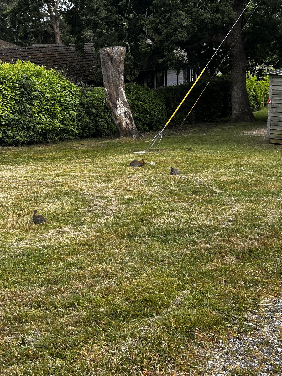 Some of our y6 are enjoying watching the football whilst others are hanging out with the bunnies! #notreadytocomehome