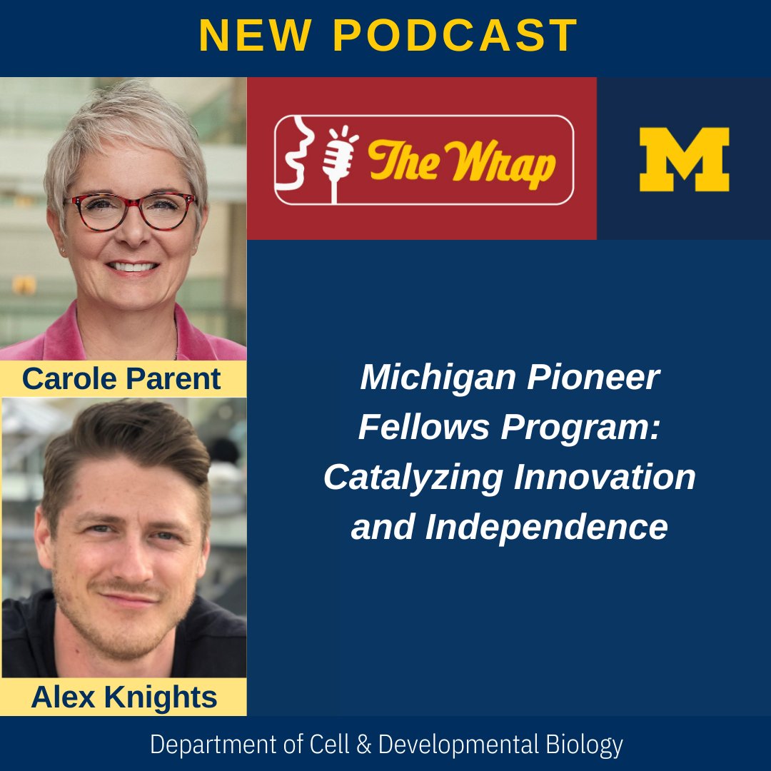 UMCDB (@umcdb) on Twitter photo New Podcast with <a href="/parentclab/">Carole Parent Lab</a> and <a href="/ajknights7/">Alexander Knights</a>!
"Michigan Pioneer Fellows Program: Catalyzing Innovation and Independence," interview with Drs. Parent and Knights featured in The Wrap weekly podcast.
Listen at michmed.org/Y3mRe
#Postdoc New Podcast with <a href="/parentclab/">Carole Parent Lab</a> and <a href="/ajknights7/">Alexander Knights</a>!
"Michigan Pioneer Fellows Program: Catalyzing Innovation and Independence," interview with Drs. Parent and Knights featured in The Wrap weekly podcast.
Listen at michmed.org/Y3mRe
#Postdoc