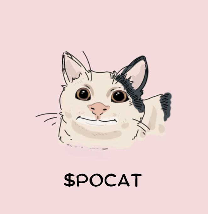 SolPocat's tweet photo. 🫰 Your Adorable Pinky $POCAT! https://t.co/dy3ELISTNL