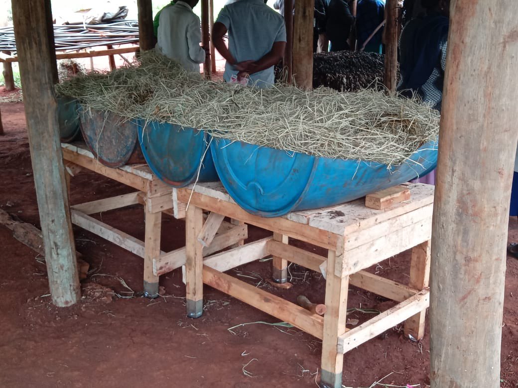 Linda Gatwiri, MSc student at <a href="/DiscoverJKUAT/">Discover JKUAT</a> demonstrating nematode damage and management at the SysCom stakeholder workshop <a href="/kalromkulima/">KALRO</a> Thika, Kenya, happening today!  More demonstrations included  technologies around Black Soldier Fly (BSF)! <a href="/icipe/">icipe</a> <a href="/IITA_CGIAR/">IITA</a>