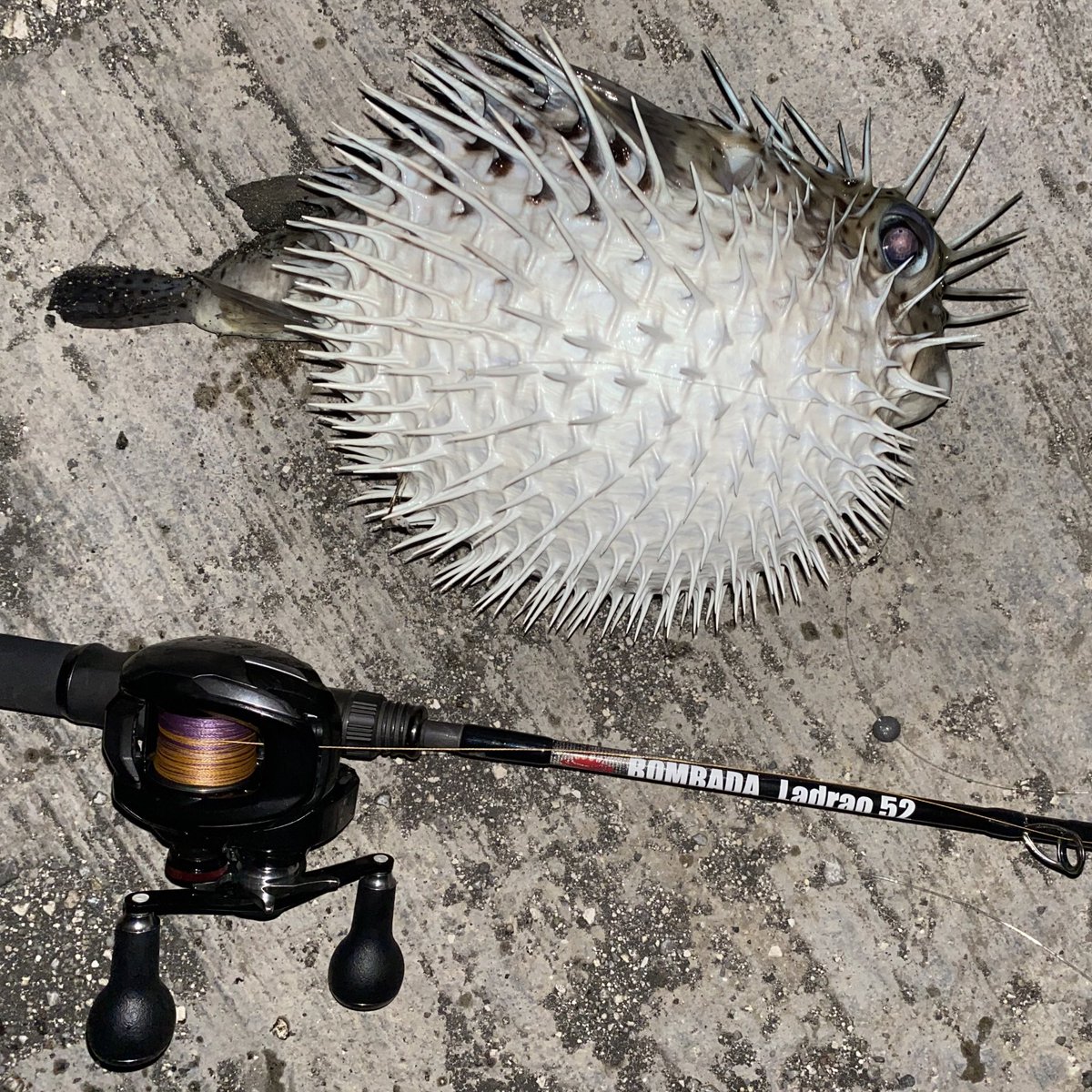 うおおおおおおお！！！！！

#bombada
#Ladrao52