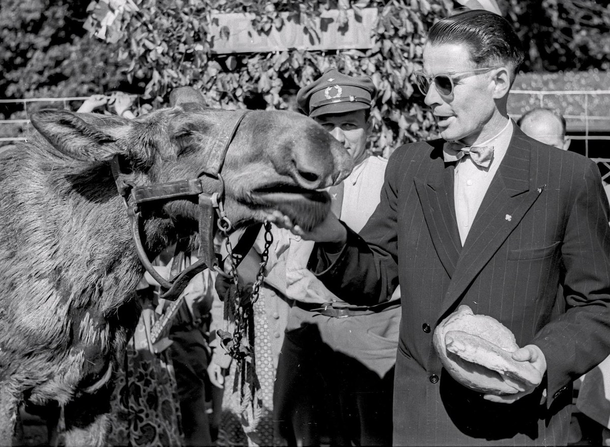 Emil Nielsen tweet media