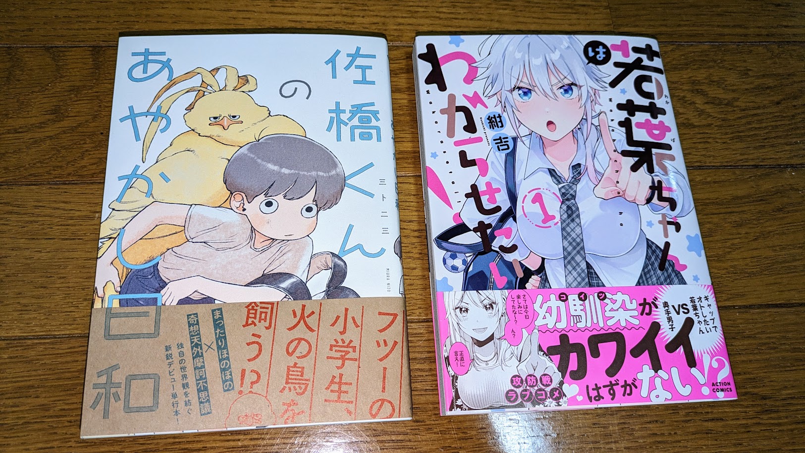 龍と苺 龍と苺 20 | 柳本光晴 | 【試し読みあり】 – 小学館コミック
