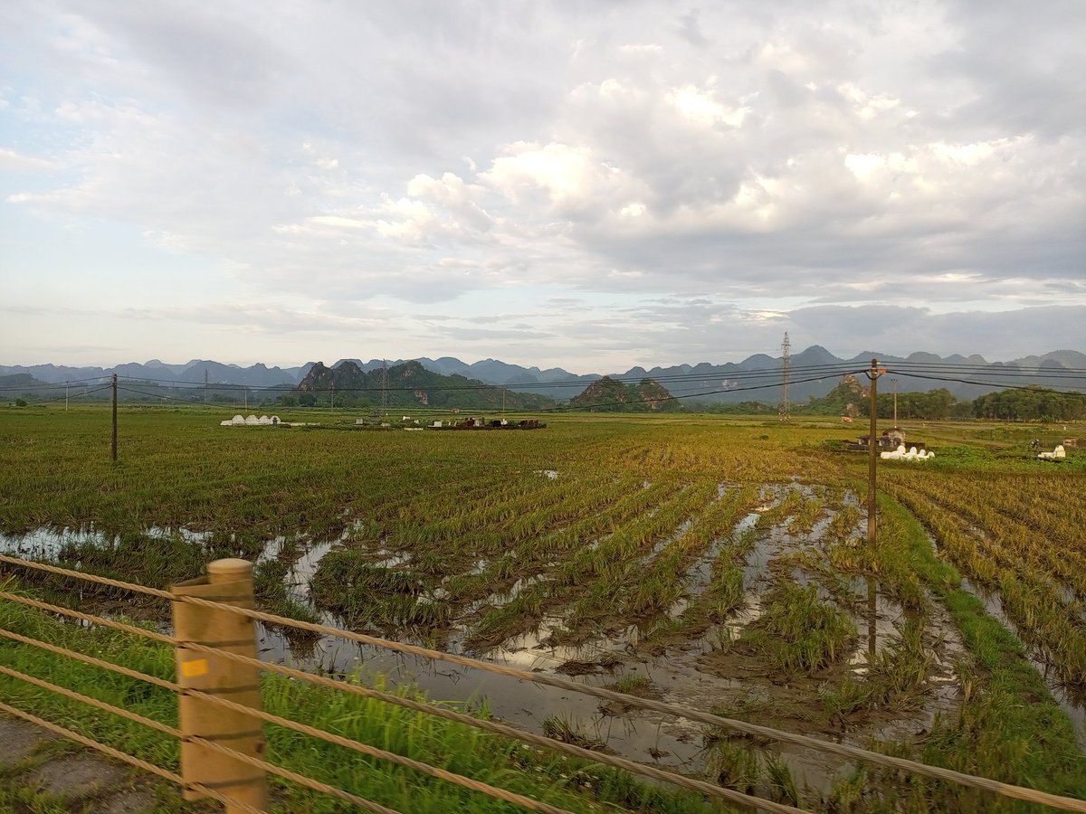 ducmo18's tweet image. Buổi sớm trong lành
Lương Sơn - Hoà Bình