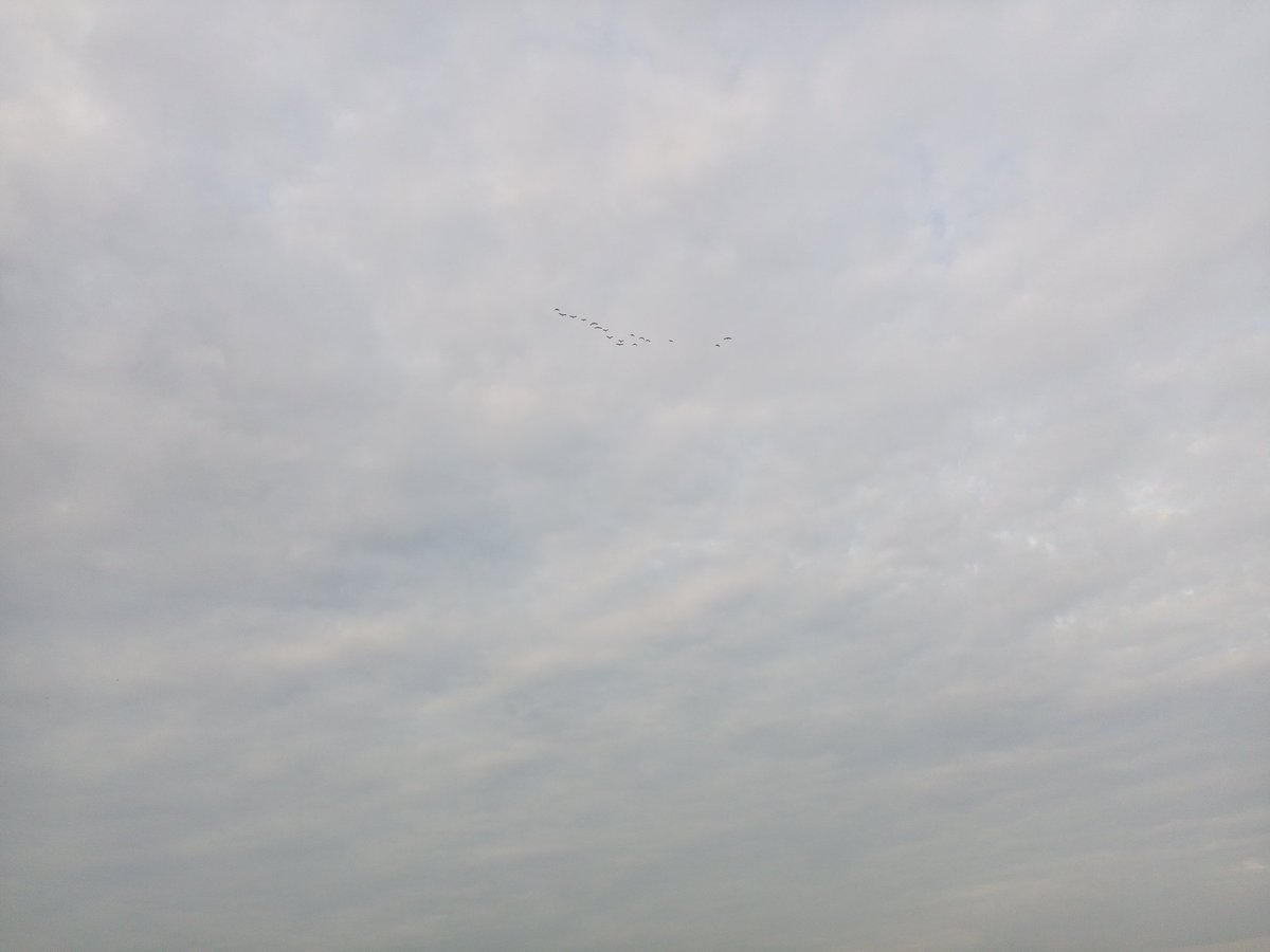 ducmo18's tweet image. Buổi sớm trong lành
Lương Sơn - Hoà Bình