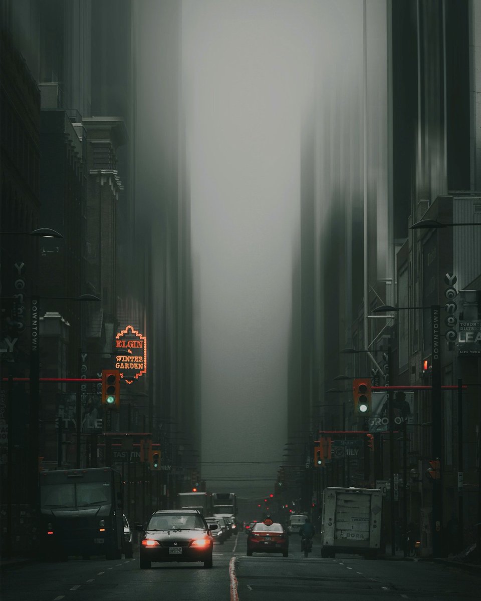 boravsbora's tweet image. fleeting dreams…