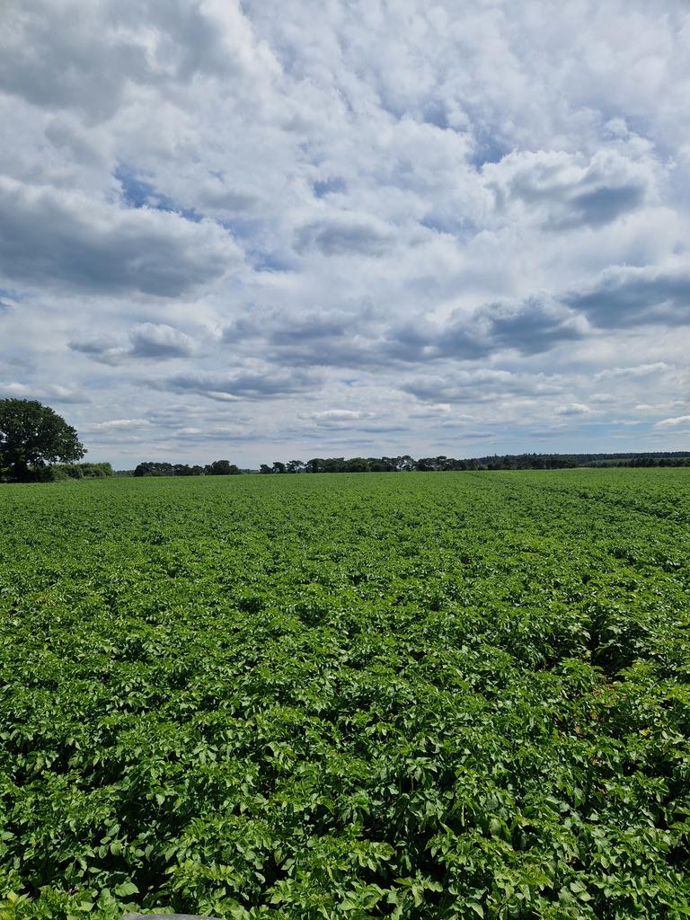 Amazing Accord <a href="/MeijerPotato/">MeijerPotato</a>