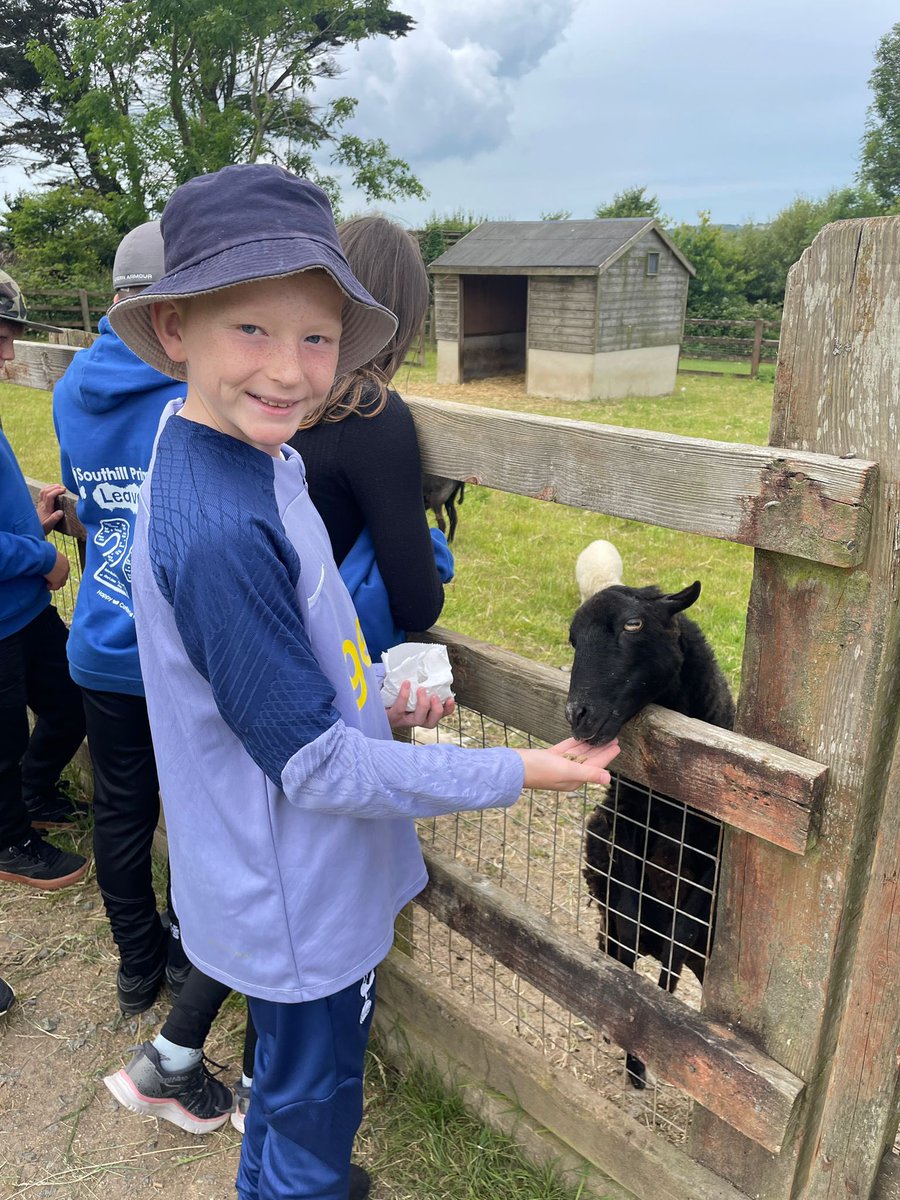 Our Year 6 class caught the bus this morning to <a href="/CornishParadise/">ParadiseParkCornwall</a> and have enjoyed feeding the animals and watching the fantastic Eagles of Paradise display! Awesome adventures 🚌 🦅