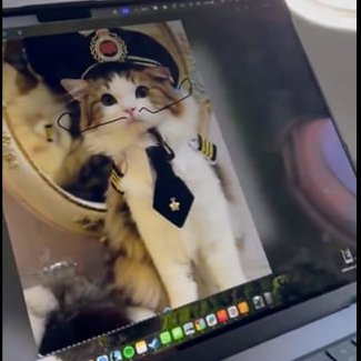 $NCAT on Solana – The First Neuracat Memecoin tweet media