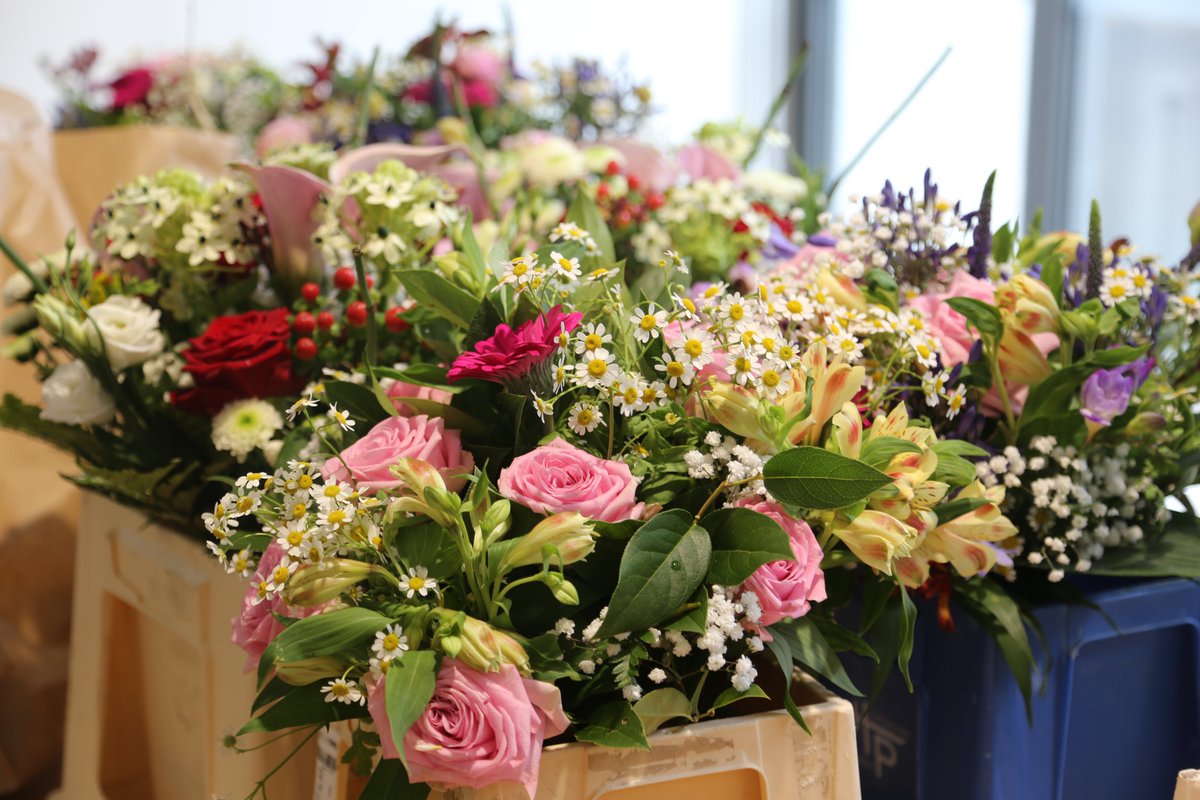 Académie de Toulouse tweet media