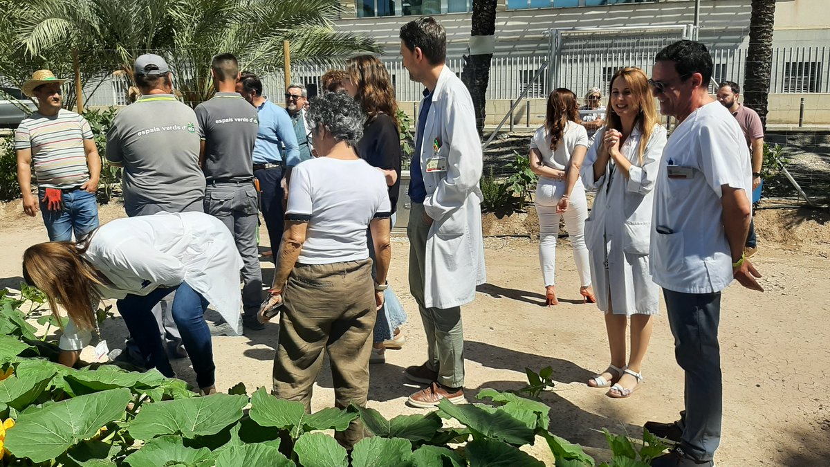 GVAsaludelche's tweet photo. 📌El Hospital General Universitario de #Elche pone en marcha un huerto terapéutico para pacientes de #SaludMental 🪴🌳🥦🍅🍊

✔️ los pacientes tendrán actividades de ocio, deporte y tiempo libre como parte del programa integral de rehabilitación 

🔗  https://t.co/1FDYZAQnvq https://t.co/NIbYuyI7wu