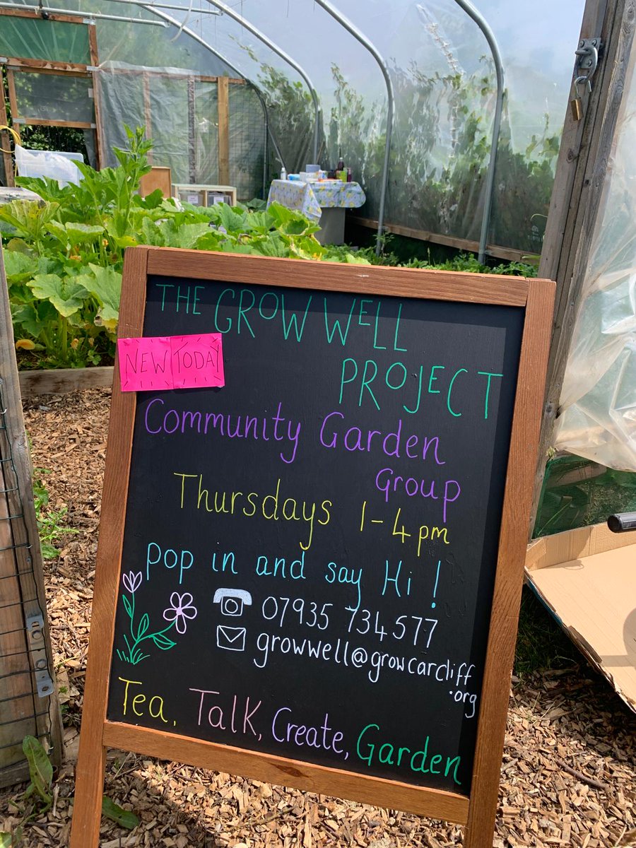 Grow Cardiff Tyfu Caerdydd (@growcardiff) on Twitter photo The <a href="/GrowWellCardiff/">Grow Well Cardiff</a> team are starting up our health and wellbeing sessions today at Grange Medical Practice 1-4pm pop in for a cuppa and see what we're up to this summer and autumn!
๐ฑโ๏ธ๐ฅ๐๐ The <a href="/GrowWellCardiff/">Grow Well Cardiff</a> team are starting up our health and wellbeing sessions today at Grange Medical Practice 1-4pm pop in for a cuppa and see what we're up to this summer and autumn!
๐ฑโ๏ธ๐ฅ๐๐